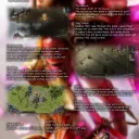 Afflicted Mir 2
