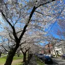 Pokemon Go: Greater New Haven Community