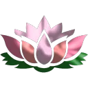 Lotus 🌺