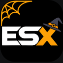 Discovery icon for ESX™ : Community Hub Discord server