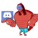 Lariscord