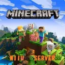 WiiU　Minecraft　Server