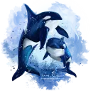 𝓢𝓱𝓲𝓷𝓸