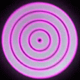Bonten Discord Server Icon