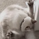 The Sock Drawer
