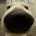 DaServer