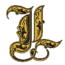 LoyaltyMC Network