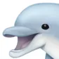 快樂海豚HappyDolphin :AHAA: