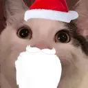 NiterPlayz's World (CLOSED)'s icon