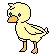 The Duck Pond