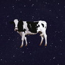 ZUA&amp;Ccedil;&amp;Atilde;O NA MADRUGADA Server Icon