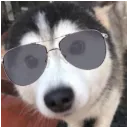 Br0fessor's St0nk Report