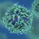 The Virus