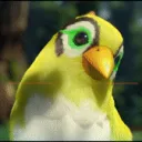 NFO's Birds