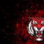 Team Zodiac
