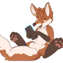 Vulpine Club
