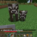 EVO Minecraft