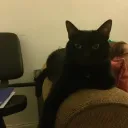 Nyah's Army