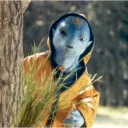 Jadu's Bizarre Requiem