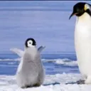 Freja公開鯖