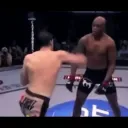 UFC SHIT
