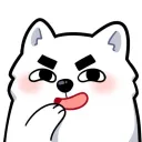 Shiber Squad (Archived)