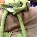 Kermit's Froggy World