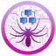 SPIDER COIN
