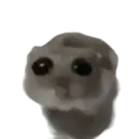 make sure to join the new server