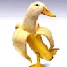 yeeteers 2.0