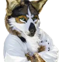 FursuitReview
