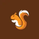Squirrels Of The Acorns