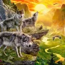 🌙Amaguk🐺