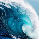 The Wedge