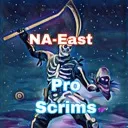 NA-East Pro Scrims