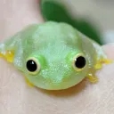 自由な集い