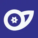 Arándanos