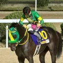 競馬部