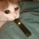 Juul Gang