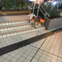 スマブラ