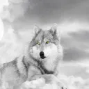 Diamond Wolves Gaming