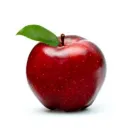 The Fruit Bowl