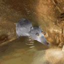 The Sewers