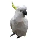 Birb Club