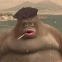TheZoo