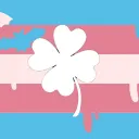 Trans Ireland Online Support