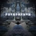 The Phenomenon