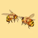 🐝Lemi Hive🐝