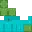 penis