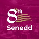 NuSenedd